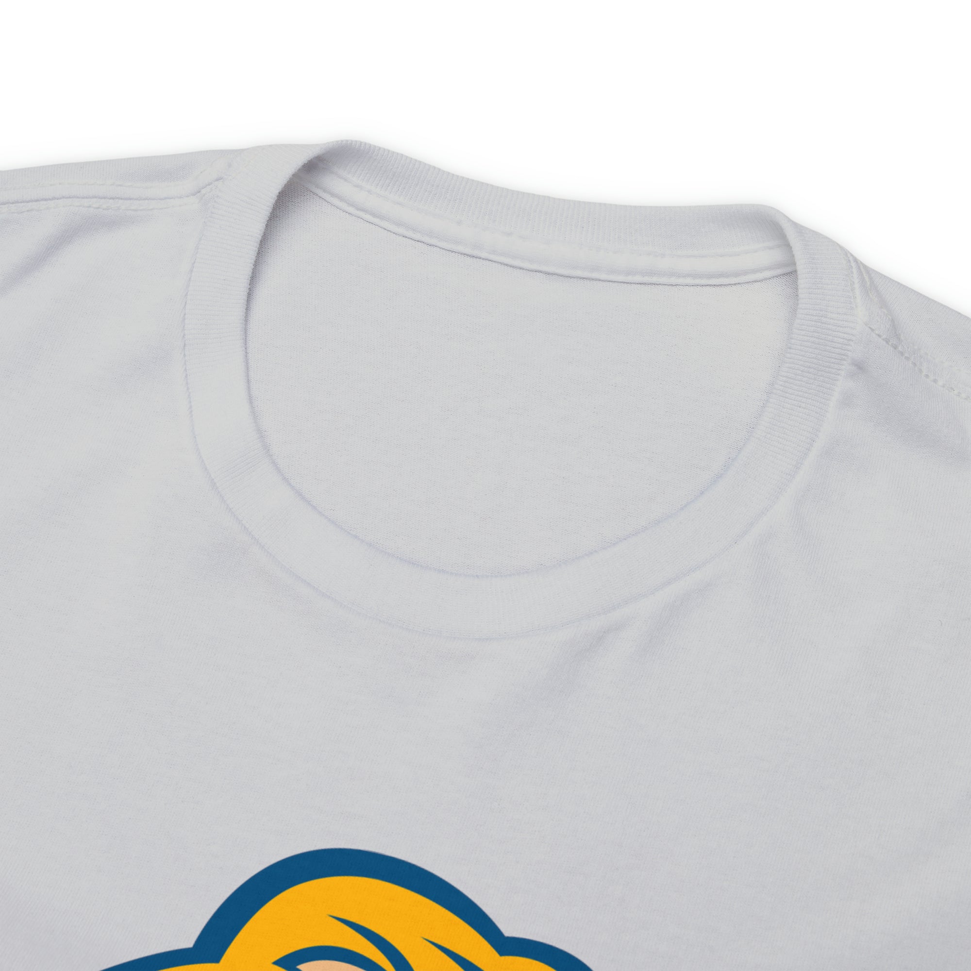 Zion Lions Unisex Heavy Cotton Tee