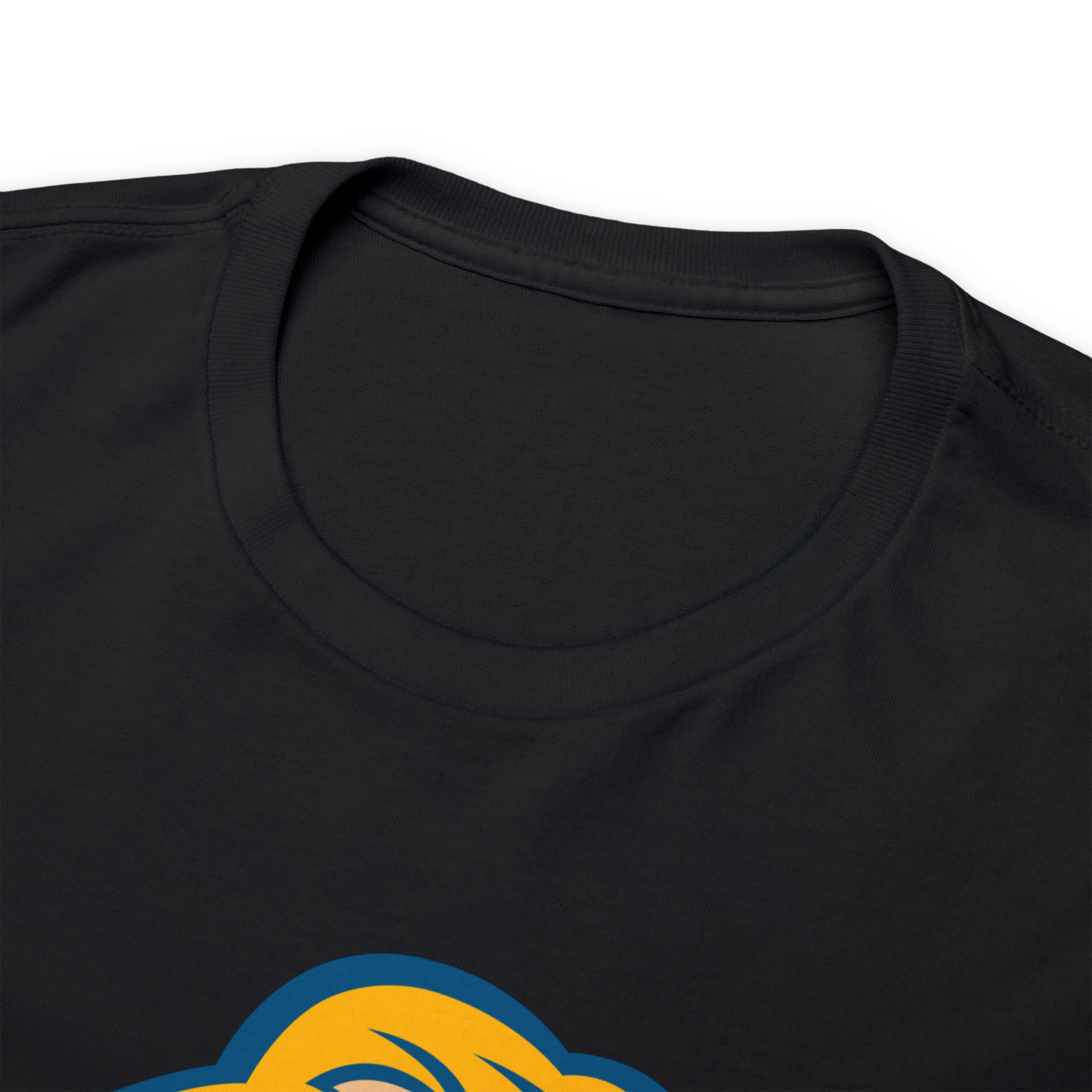 Zion Lions Unisex Heavy Cotton Tee