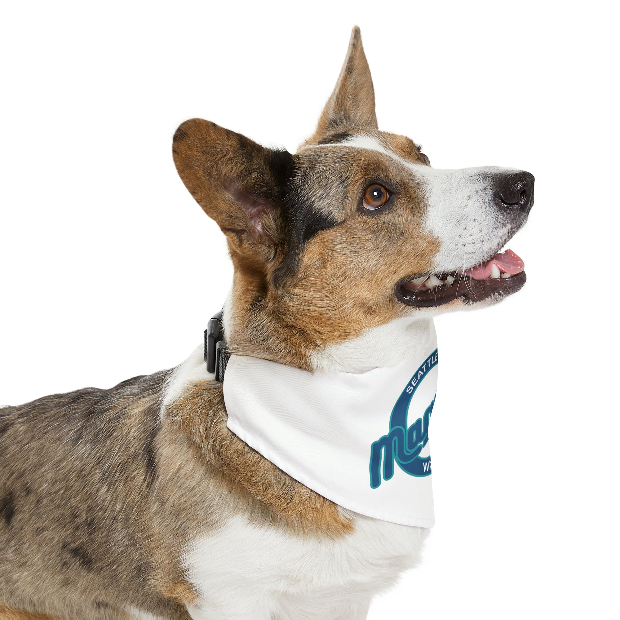 Magnolia Elementary School Pet Bandana Collar