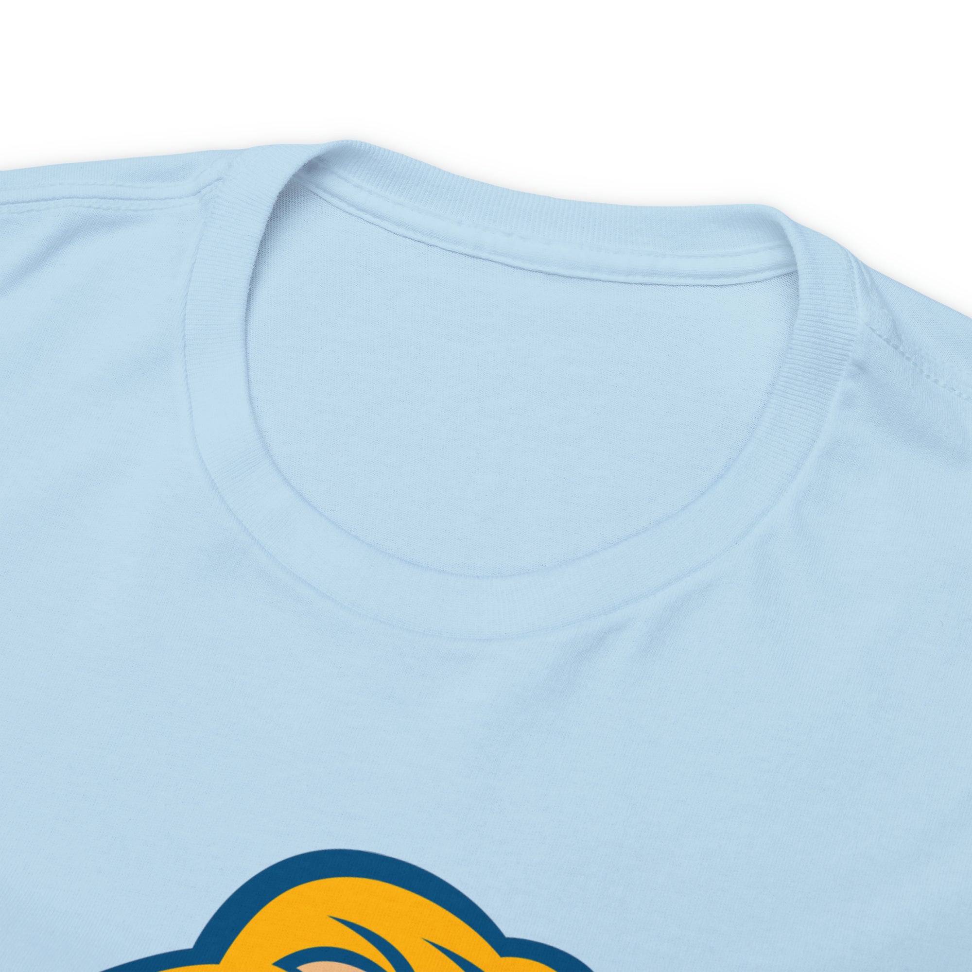 Zion Lions Unisex Heavy Cotton Tee