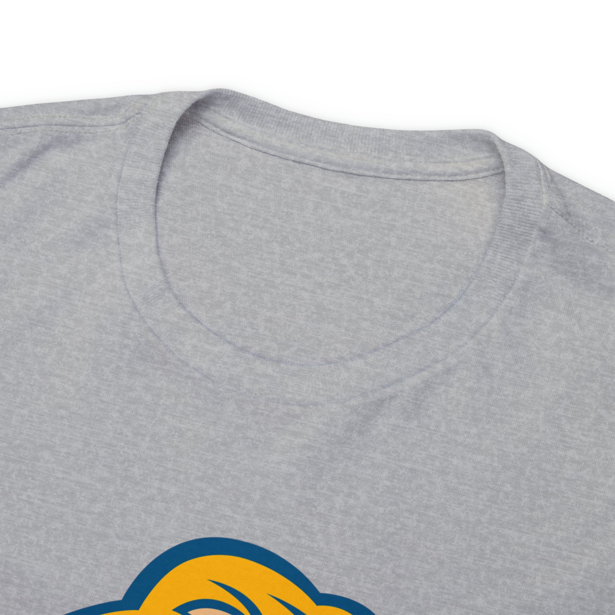 Zion Lions Unisex Heavy Cotton Tee