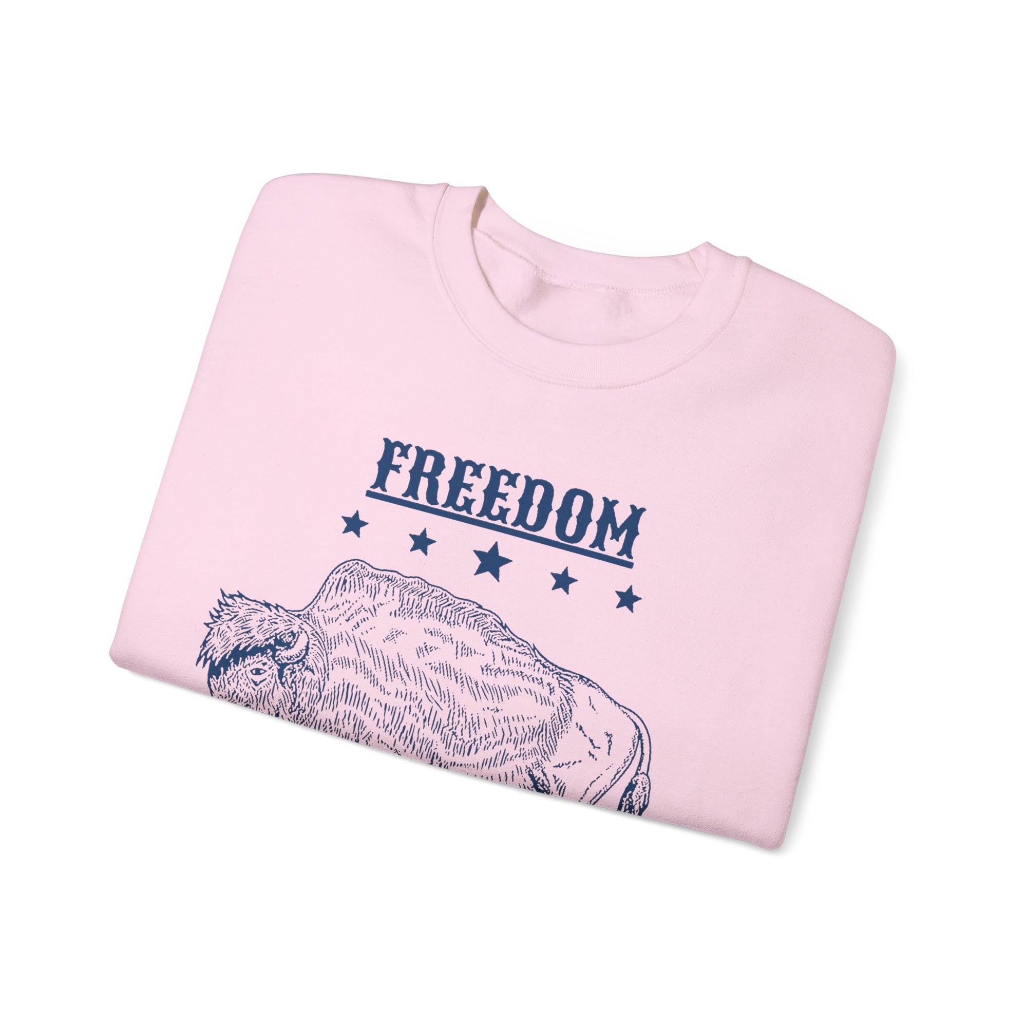 Freedom Homeschool Co-op Crewneck Sweatshirts